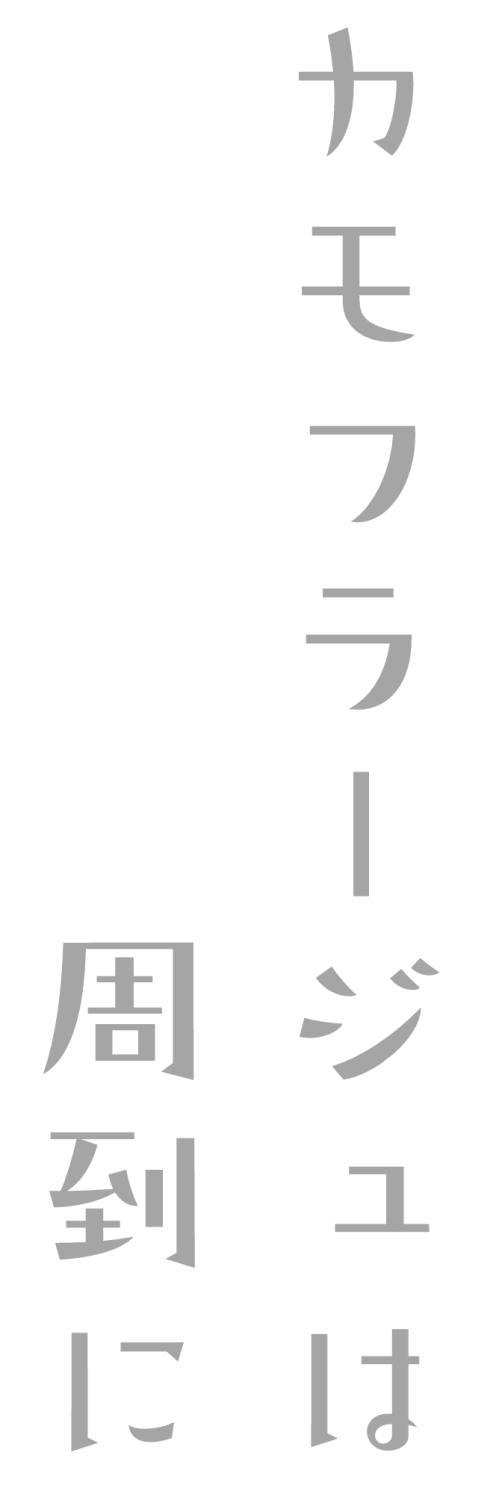 カモフラージュは周到に